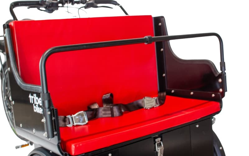 The double seat and lap seatbelts of a Ricky Rickshaw