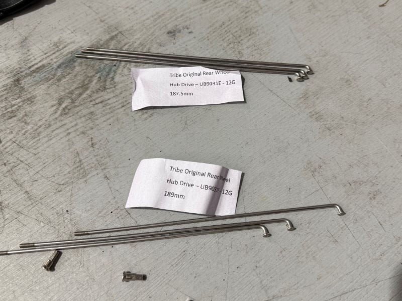 Tribe Original Rear Wheel (hub drive) spokes - Set of 6