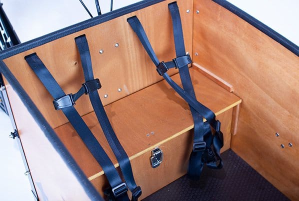 Three-point seatbelts fitted inside a Tribe Original cargo box