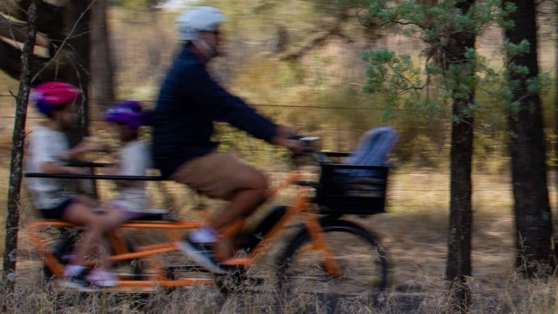 Why you should buy an electric cargo bike for your family