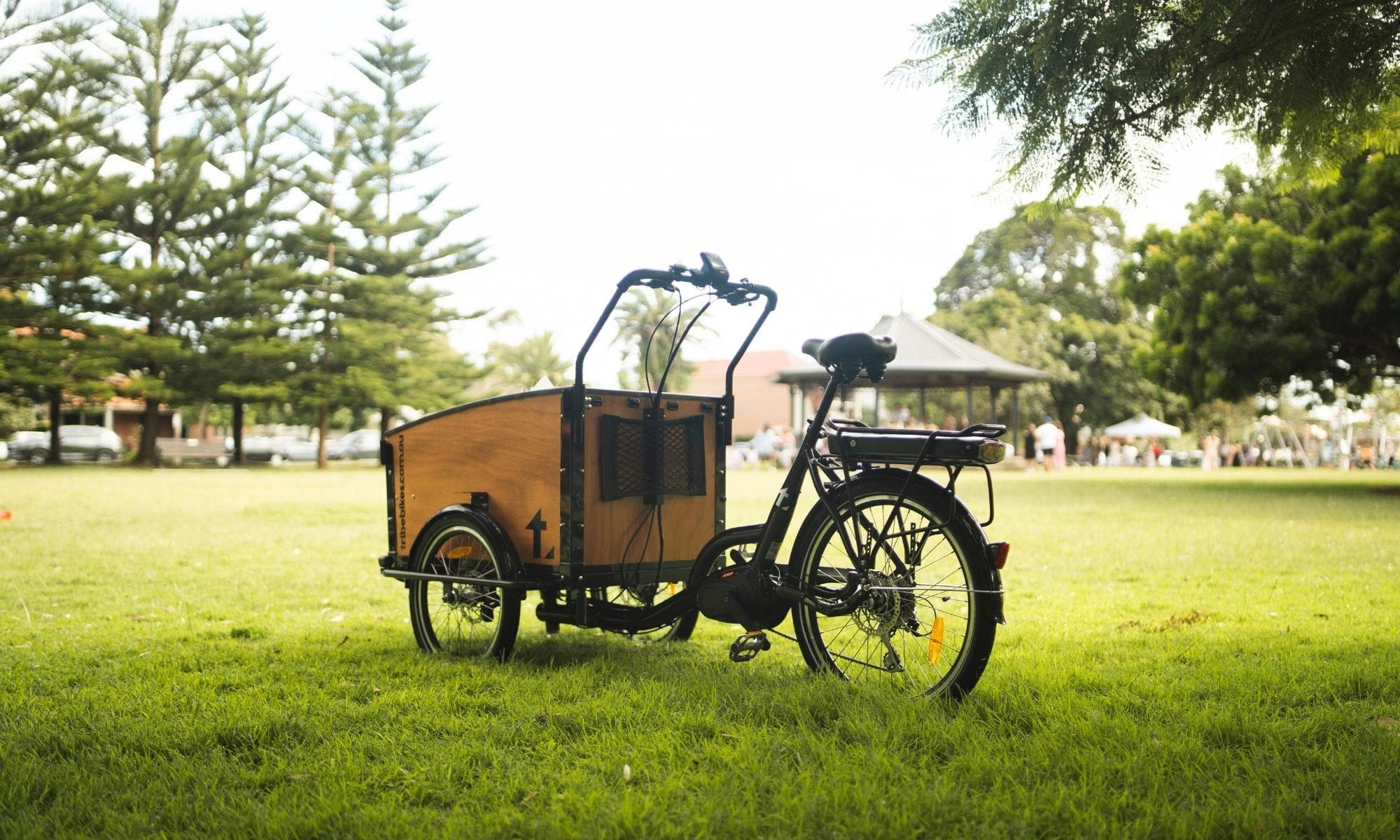 What is a cargo trike, and is one right for your family?